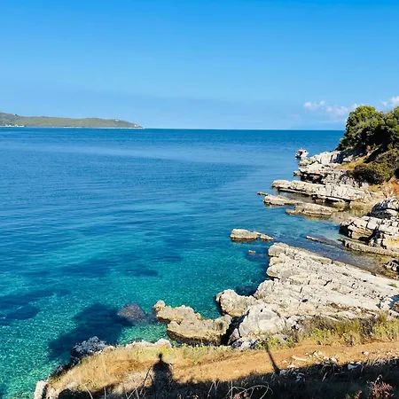 Yellow House * カシオピ